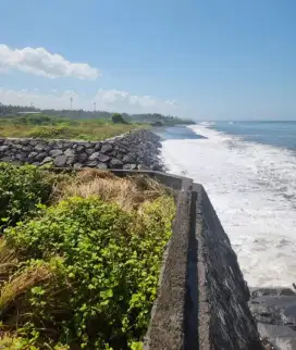 DI JUAL TANAH PREMIUM DI PINGGIR PANTAI PURNAMA , BALI