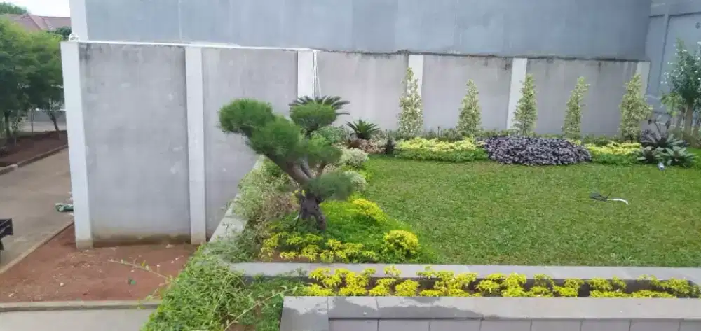 jasa buat taman lanscape