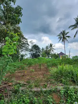 Dijual tanah di buring kedungkandang belakang GOR Ken Arok.