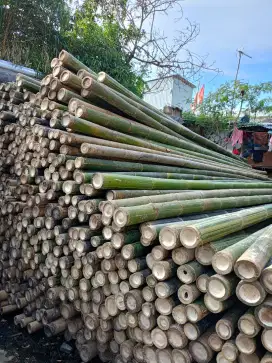 Jual bambu steger dan kayu proyek