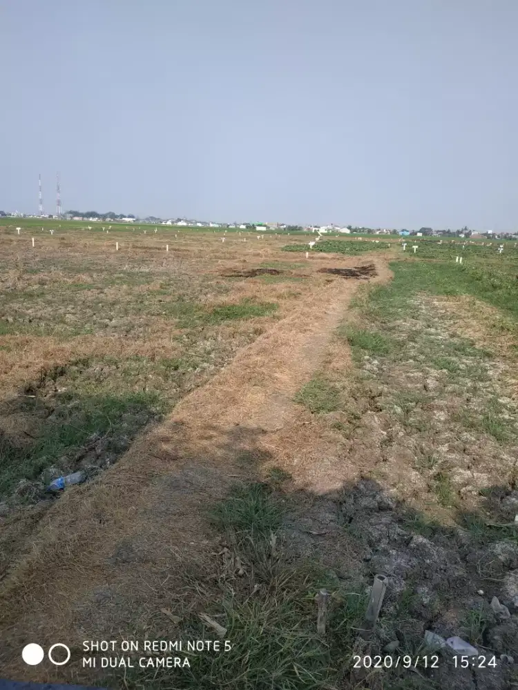 Tanah murah cocok buat invest di tambun utara