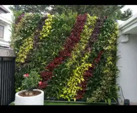 tukang taman vertikal garden