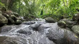 Tanah pinggir sungai gemericik & ada mata air