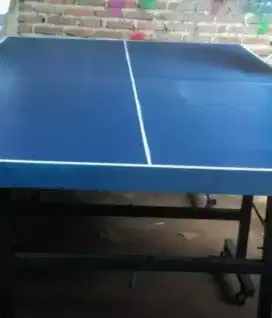 Meja tenis / meja pingpong