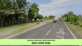 Di Jual Tanah Pinggir Jalan Provinsi Purworejo