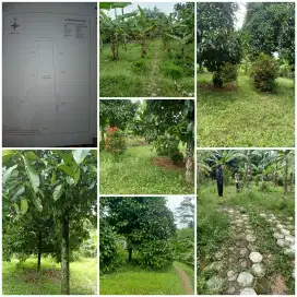 JUAL CEPAT TANAH JONGGOL