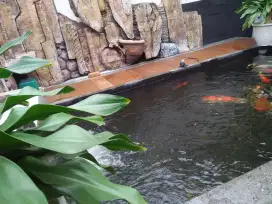 pembuatan kolam ikan