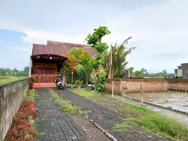 Rumah Asri Halaman Luas di Purwomartani