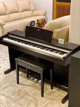 Yamaha Arius (NEW) YDP Clavinova DGX Electone Piano Digital