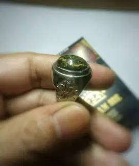 Batu akik cincin Naga Sikoi luster emas fosil permata