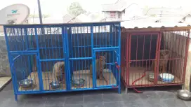 Penitipan Hewan di Teras Hijau Ungasan