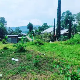 Tanah kemuning ngargoyoso Karanganyar cocok untuk villa/homestay