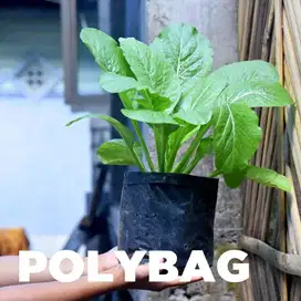 Polybag Pembibitan Murah, Melayani Partai Besar!