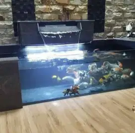 Kolam dan filter koi