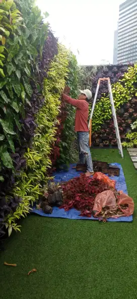 Perawatan dan pembuatan particl garden.