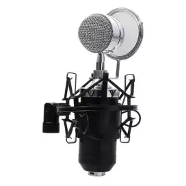 Microphone mic taffware condensor condenser BM 8000
