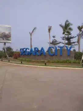 DICARI CEPET kerja Art PP Segara City