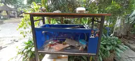 akuarium filter samping