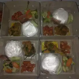 Paket Nasi Ayam Woku pedas nasi kotak nasi box catering