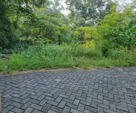 Tanah di wringinanom gresik