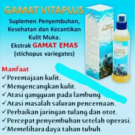 Suplemen Gamat Vitaplus Untuk Patah Tulang Diabetes Jantung Rematik