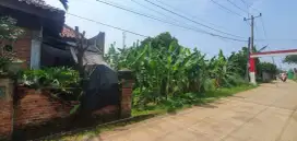 Tanah kosong, gunung sindur, bogor