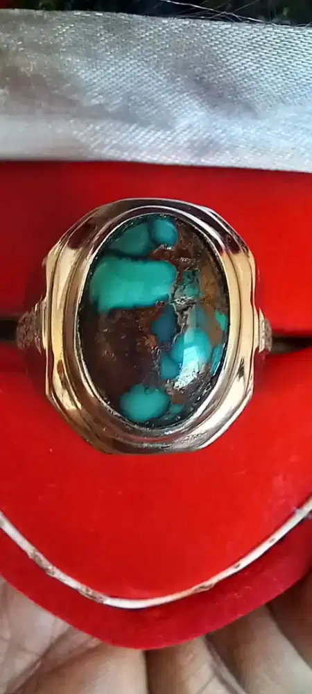 Pirus persia lawasan kantoran