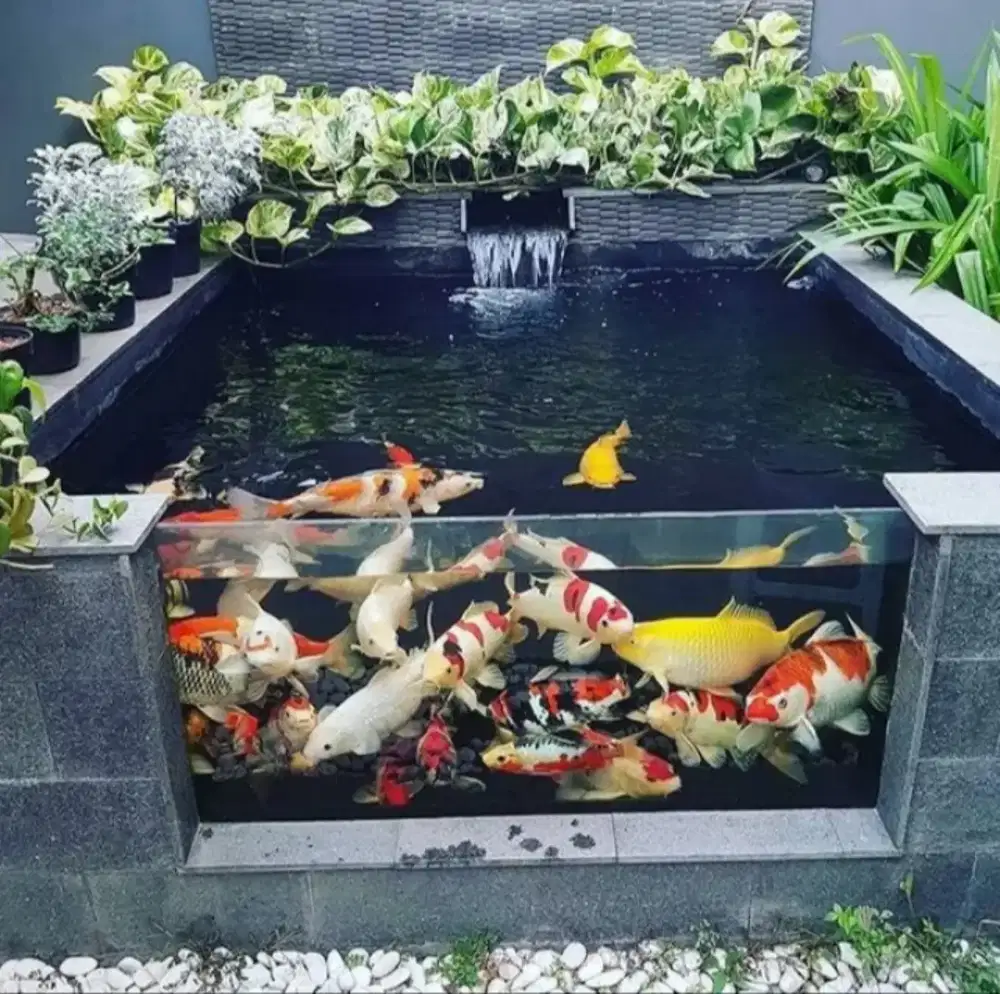 Kolam dan filter koi/tukang kolam