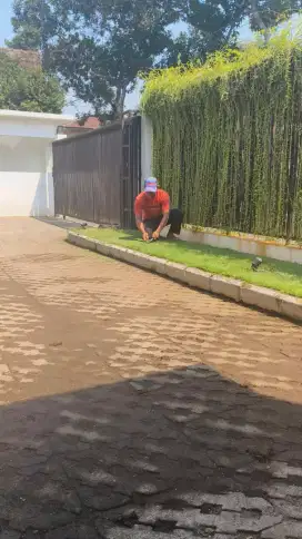 Jasa rawat taman dan kebun.