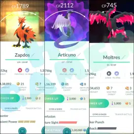 TRIO BIRD LEGENDARY GALAR POKEMON GO