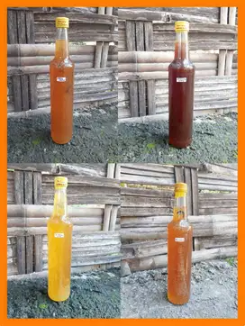 Madu Asli Hutan Liar