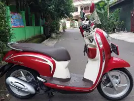 scoopy di cari 2014