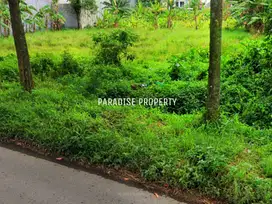Tanah Sewa Luas Area Sawojajar