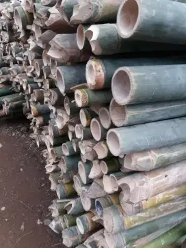 Di sini jual bambu