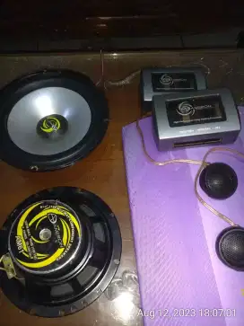 Ameron am61 component kit speaker