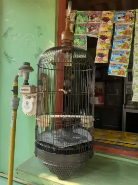 Sangkar burung labet jual murah bisa nego