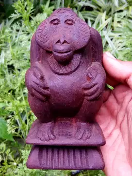 Rang utan, kayu ulin..