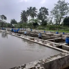 Kolam deras 30 Jalur Cijambe Subang Lg