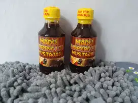 Madu klanceng liar