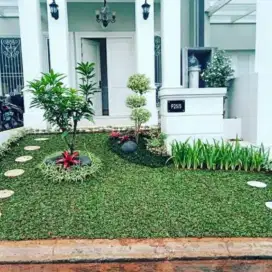 jasa pembuatan taman murah