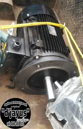 Dinamo flange 30 hp
