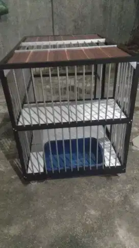 Dijual kandang kucing tingkat keramik plus kucing Persia dewasa