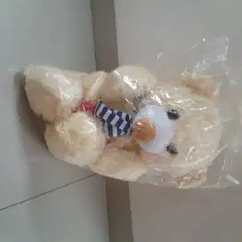 Boneka Beruang (Dapat dari kado ultah, masih baru)