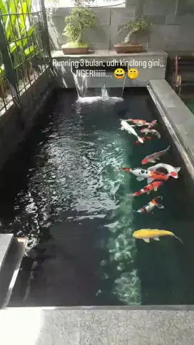 Kolam koi bandung