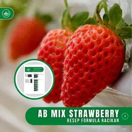 Resep Formula AB Mix Strawberry Pupuk Stroberi