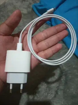 Charger iPhone 12 pro 20 watt