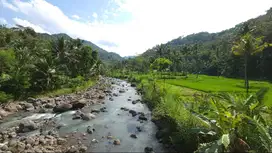 Tanah view indah sungai & sawah, cocok untuk Kafe & Glamping