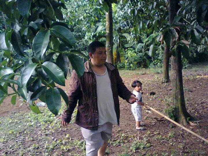 Dijual Tanah di Jonggol 1349