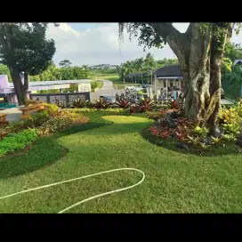 Pemasangan rumput taman pembuatan taman rumah taman minimalis