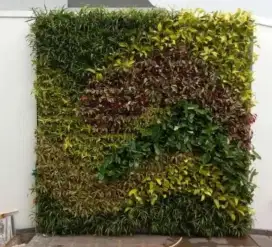 Tukang taman murah taman vertical garden
